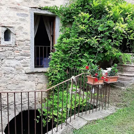 Frantoio Valiani Vakantieboerderij