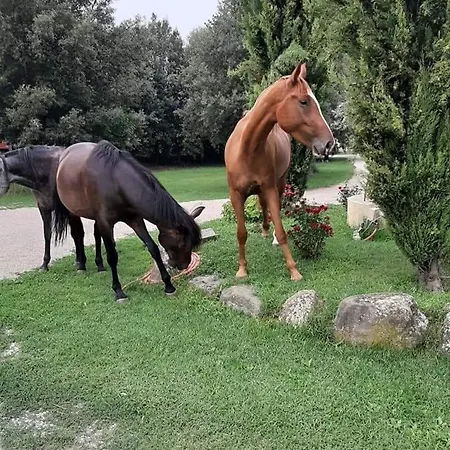 Frantoio Valiani Κορτόνα