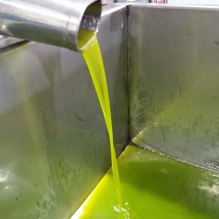 Frantoio Valiani Farm stay *