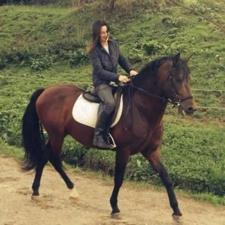 Frantoio Valiani Vakantieboerderij