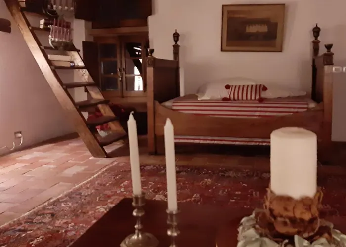 Frantoio Valiani Feriegård *