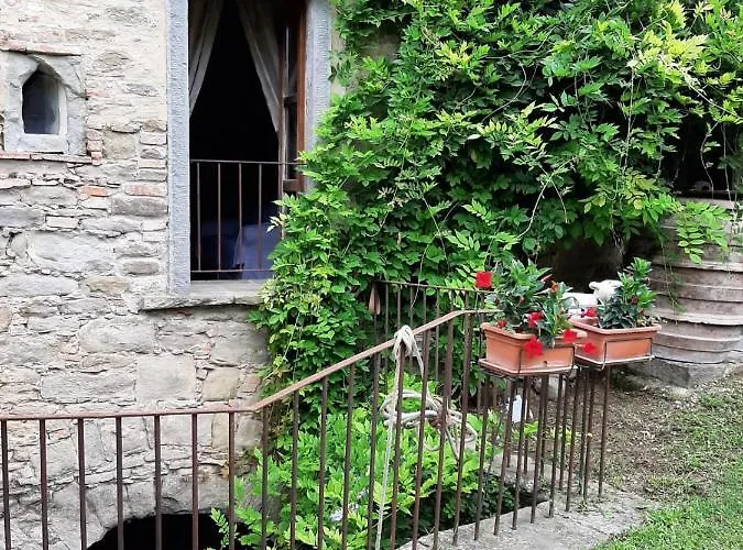 Frantoio Valiani Feriegård