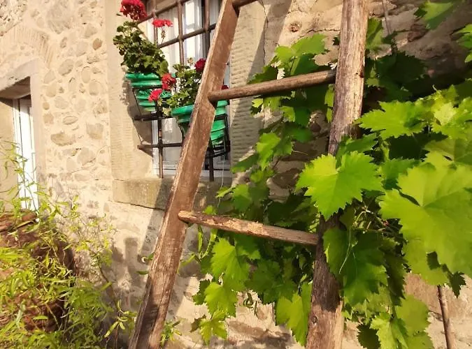 Feriegård Frantoio Valiani Cortona