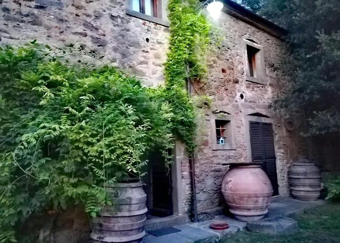 Frantoio Valiani Feriegård