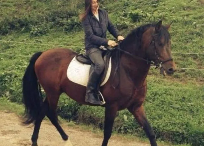 Frantoio Valiani مزرعة للإقامة