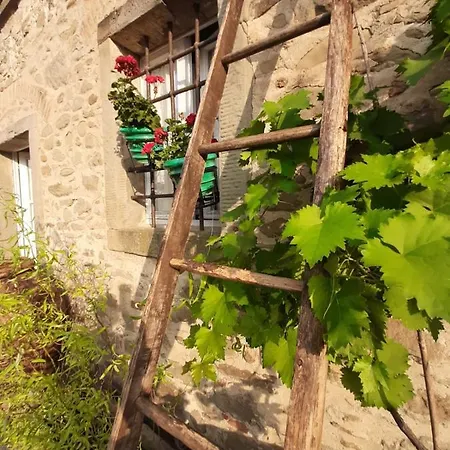 Alloggio per agriturismo Frantoio Valiani Cortona