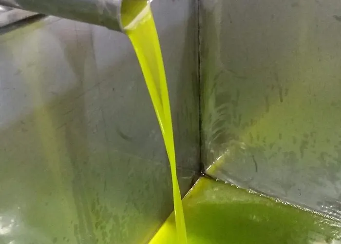 Frantoio Valiani Κατάλυμα σε φάρμα *